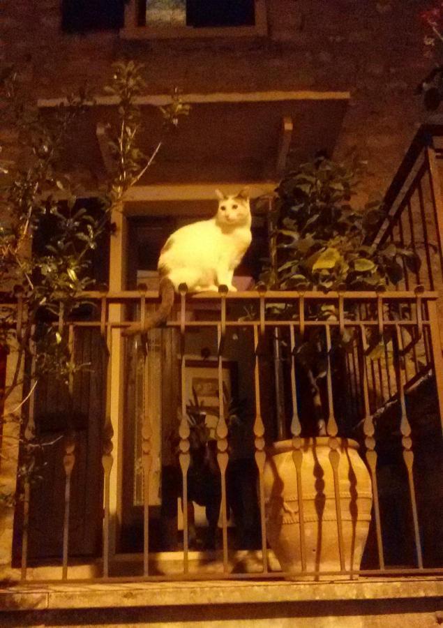 Beb Da Paolo Con Vista Lago San Zeno di Montagna Eksteriør billede